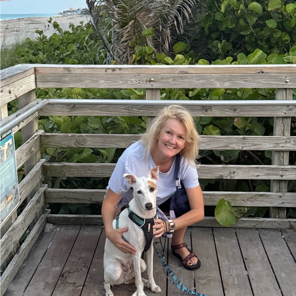 Meet your Posher, Amy